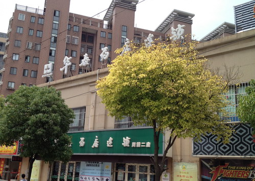 [租賃權(quán)] 康沈路（近年家浜路） 二層商鋪