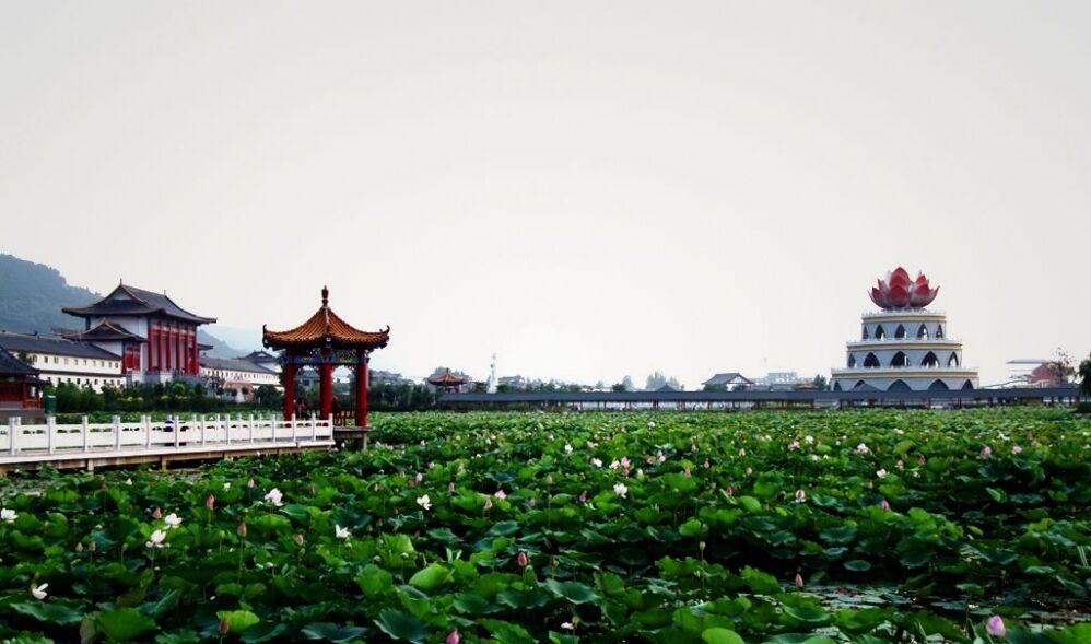 【推薦】洛陽(yáng)市宜陽(yáng)縣錦屏鎮(zhèn)靈山村蓮花公園的相關(guān)資產(chǎn)