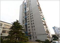 【推薦】平?jīng)雎?828弄1號平?jīng)鲂^(qū)11套住宅